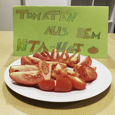 Tomaten aus dem Garten auf Teller